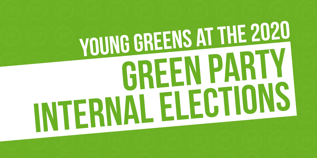 website Graphic: Young Greens at the 2020 Green Party Internal Elections