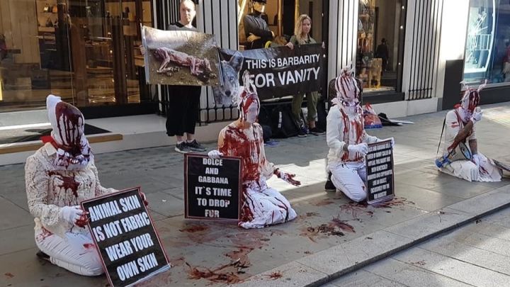 Animal rights protesters dressed in dust suits with fake blood. A banner reads "this is barbarity for vanity"